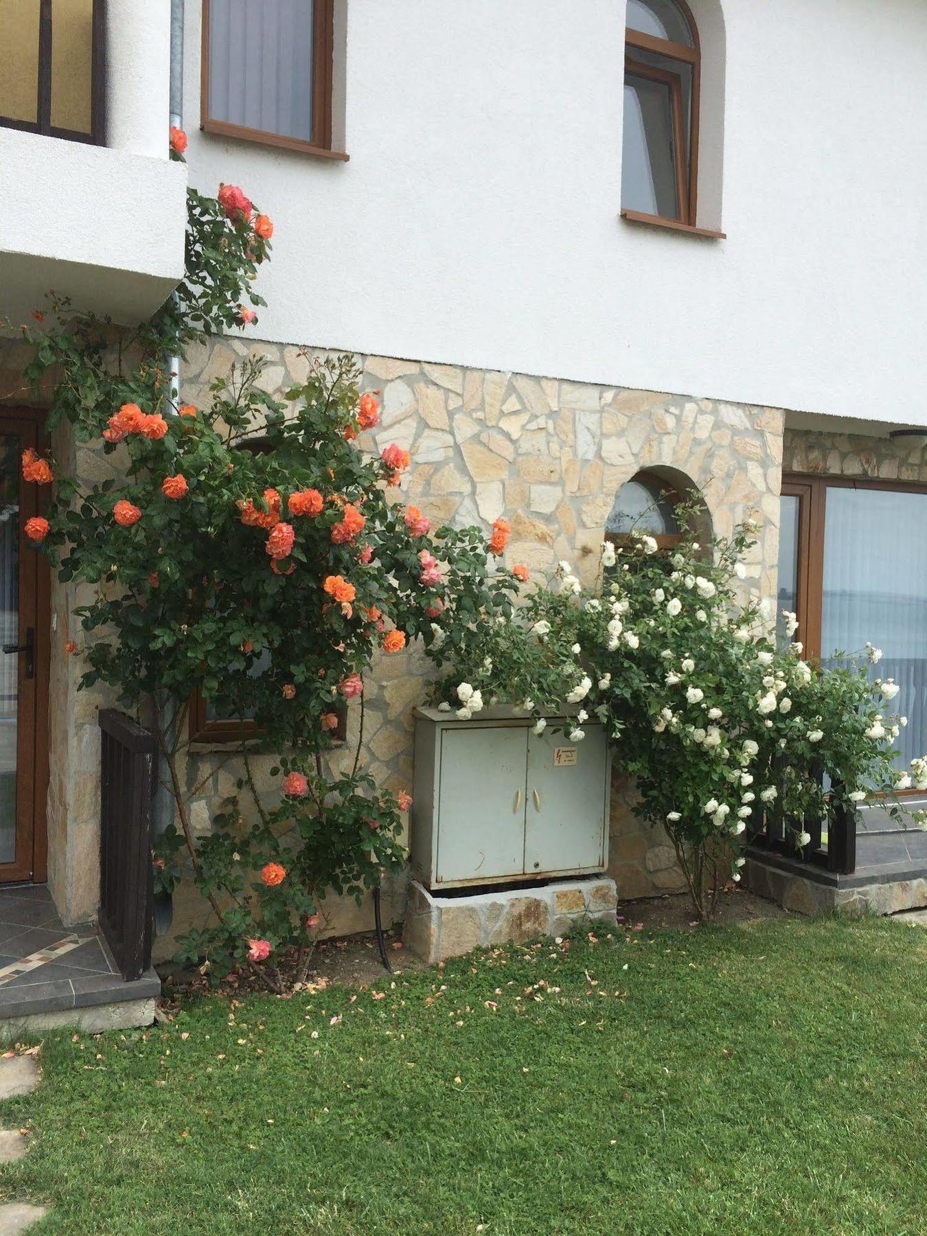 Tsb Sun Coast Apartments Sveti Vlas Luaran gambar